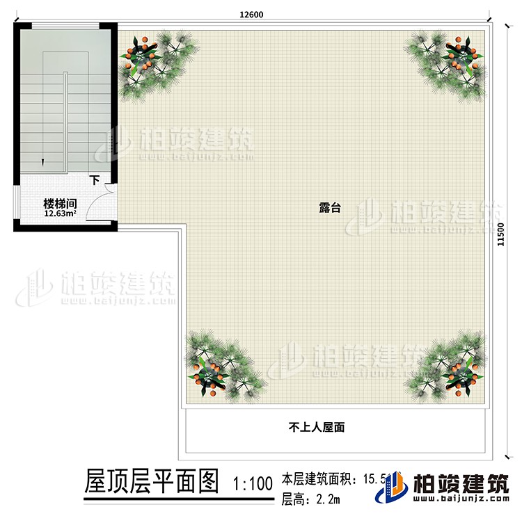 房顶：楼梯间、露台